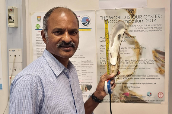 The hatchery is not only for oyster seed production, but also a platform for research, education, and knowledge exchange, says Dr Thiyagarajan VENGATESEN of HKU School of Biological Sciences and The Swire Institute of Marine Science.
